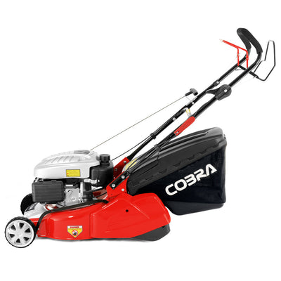 Cobra