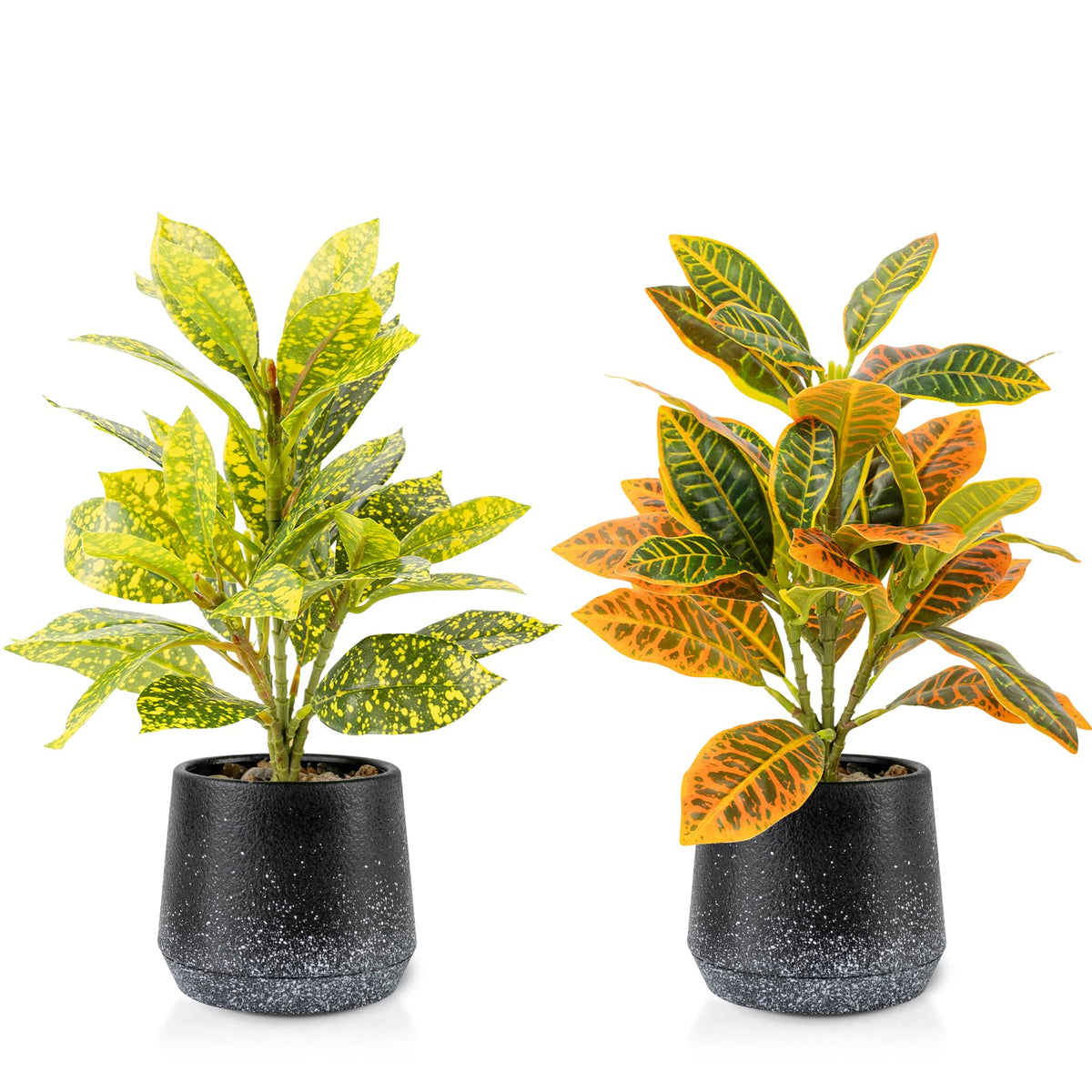 2 Pack Realistic Artificial Potted Plants Peperomia Obtusifolia, 11" Small Faux Greenery for Desk, Bathroom, Office, or Home Decor (Evergreen, Maintenance Free)