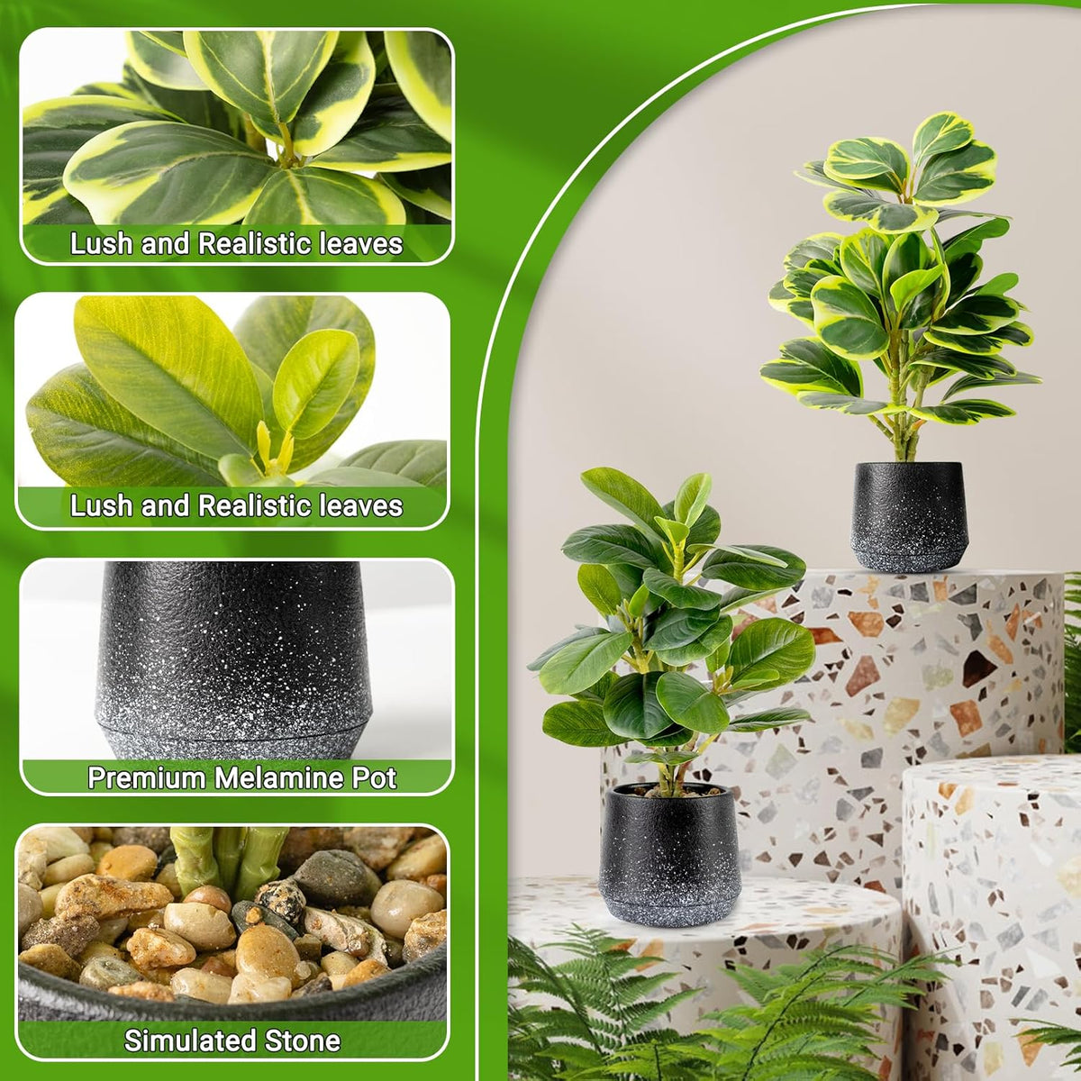 2 Pack Realistic Artificial Potted Plants Peperomia Obtusifolia, 11" Small Faux Greenery for Desk, Bathroom, Office, or Home Decor (Evergreen, Maintenance Free)
